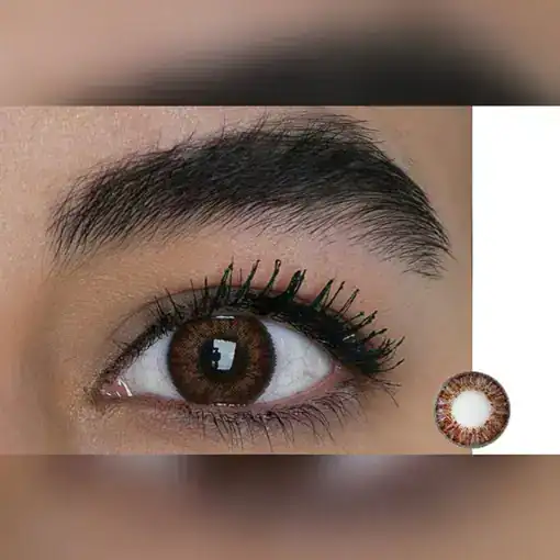 لنز رنگی قهوه ای فرشلوک کالربلندز براون - Image 2