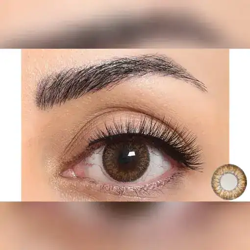 لنز رنگی قهوه ای فستیوال مورنینگ براون تن 2 - Image 3