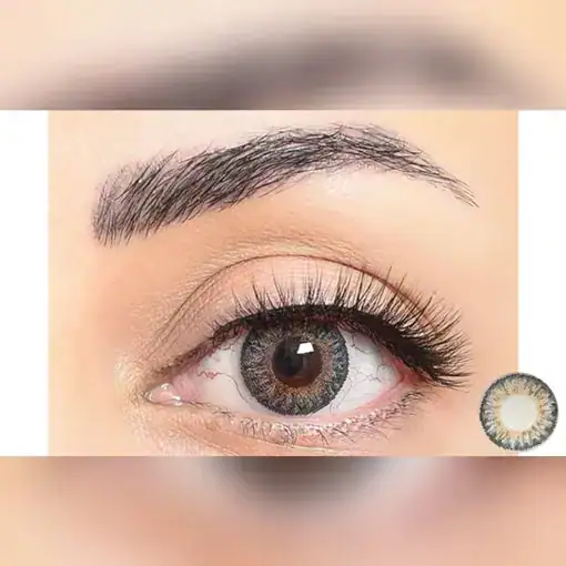 لنز رنگی طوسی عسلی فستیوال مورنینگ گری تن 3 - Image 2