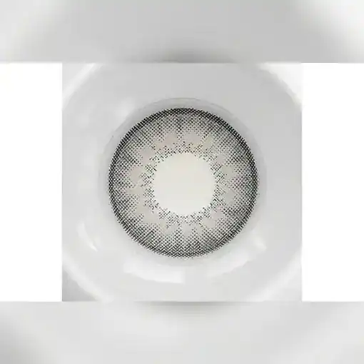 لنز رنگی طوسی یخی فستیوال مورنینگ آیس گری - Image 3