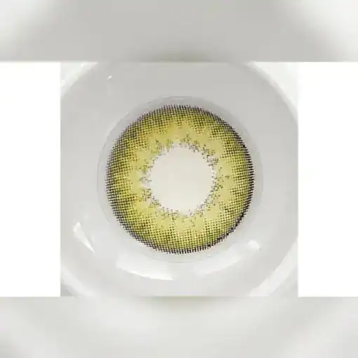 لنز رنگی سبز فستیوال مورنینگ آیس گرین - Image 3