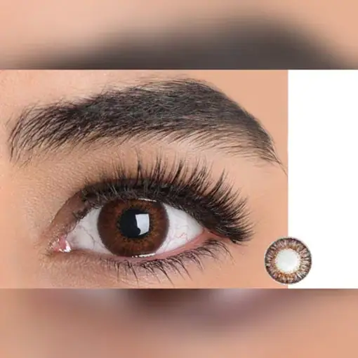 لنز رنگی قهوه ای ایراپتیکس براون - Image 2