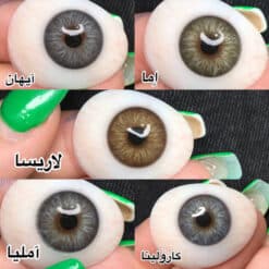 مشاهده کاتالوگ لنز ایفوریا
