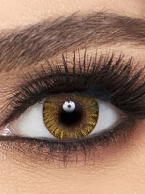 لنز رنگی روزانه فرشلوک مدل Pure Hazel سایز 13.8mm